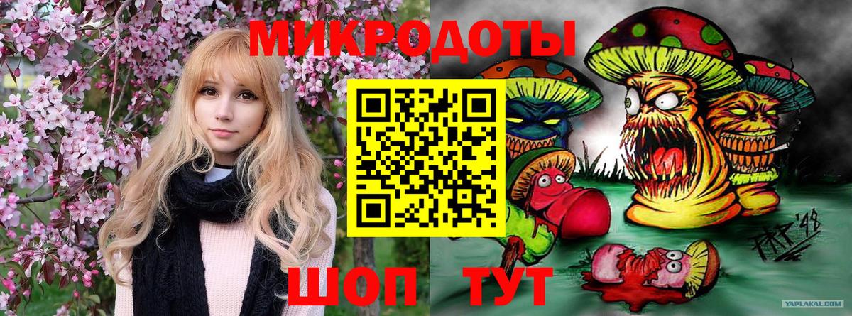 Галлюциногенные грибы Magic Shrooms  Вход с VPN  Кашира  Галлюциногенные грибы GOLDEN TEACHER 