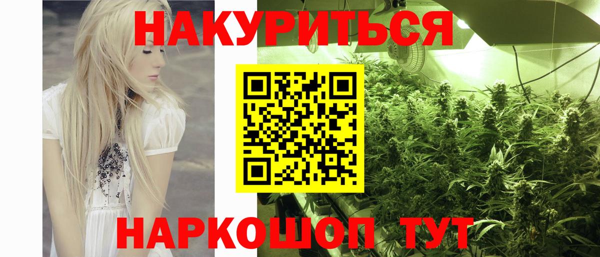 Шишки марихуана семена  Вход с VPN  Каннабис VHQ  Кашира 